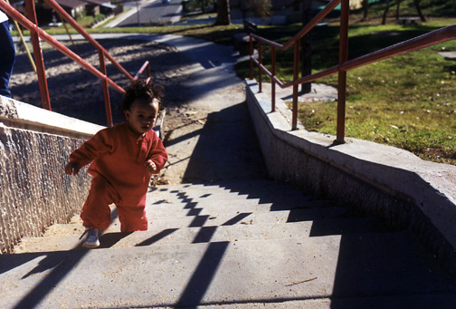 Stairs are tough when you are only 2 feet tall!