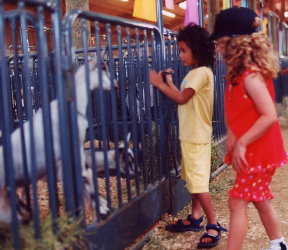 Mari checks out a goat!