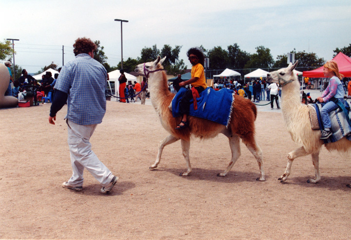 Mari goes on a llama ride!