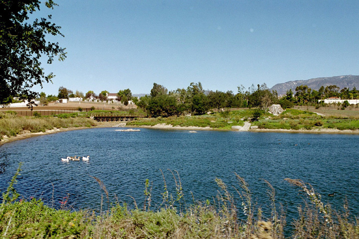 Bell Gardens has a lovely pond!