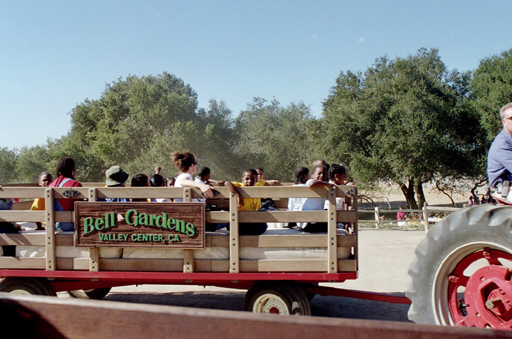 The kids go on a tractor ride!