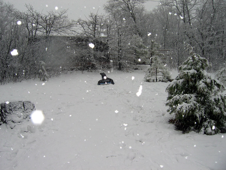 It's snowing at Mt. Laguna!