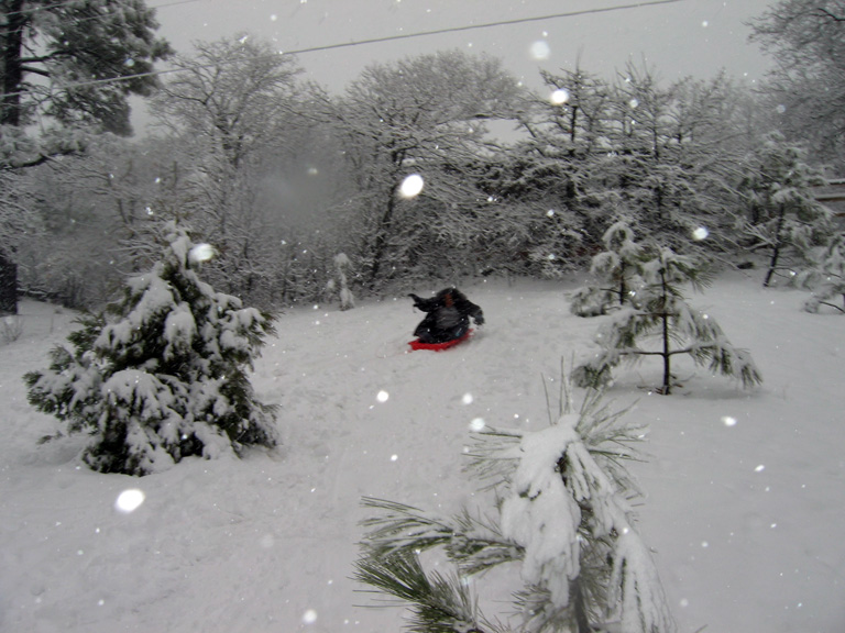 Mari sleds downhill!