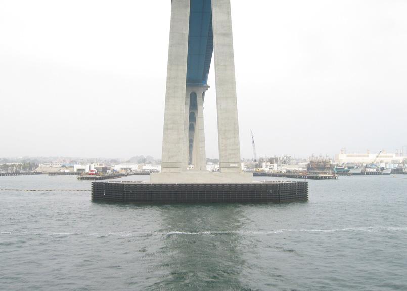 Mari photographs the Coronado Bay bridge!