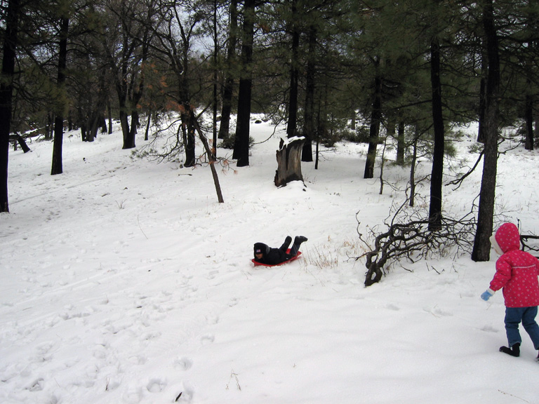 Mari sleds downhill!