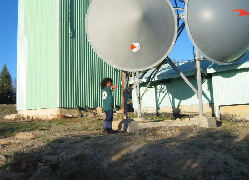 Mari finds some microwave dishes!