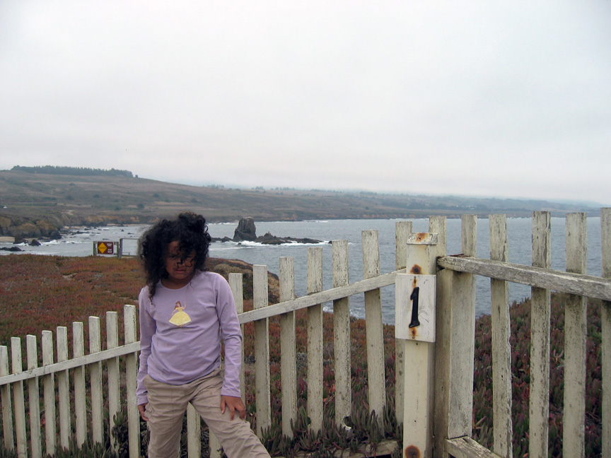 The view of the coast from the lighthouse is lovely!