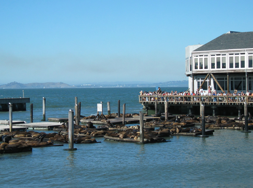 Fisherman's Wharf