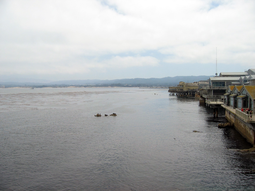 Mari visits Monterey Aquarium!