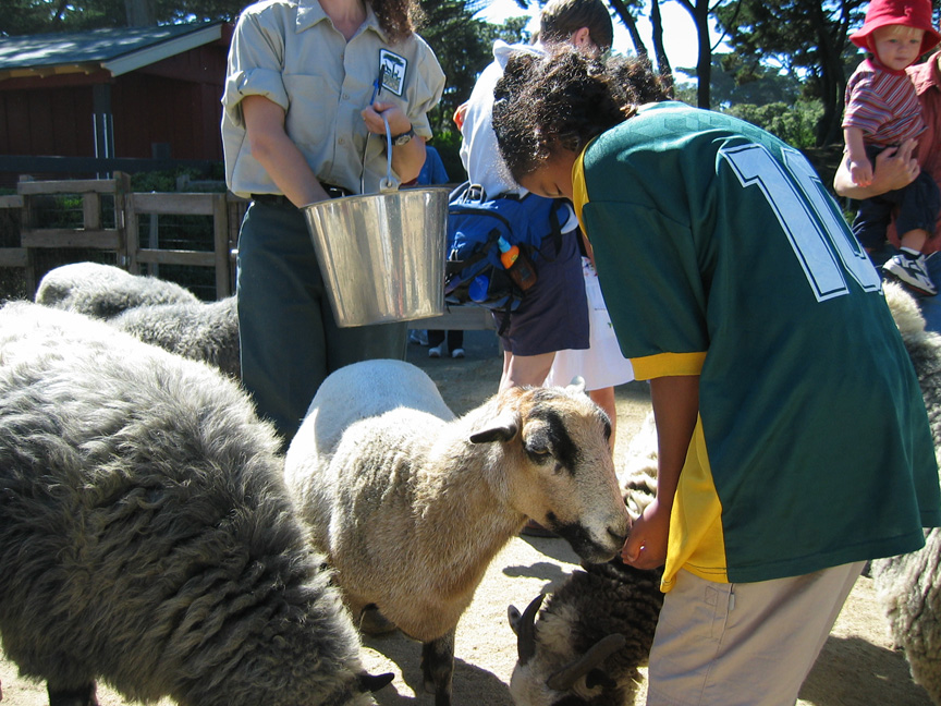 Mari feeds a goat!