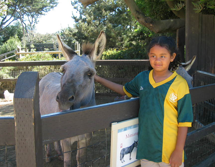 Mari finds a donkey!