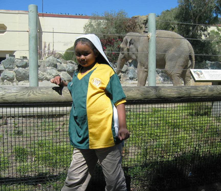 Mari finds the elephants!
