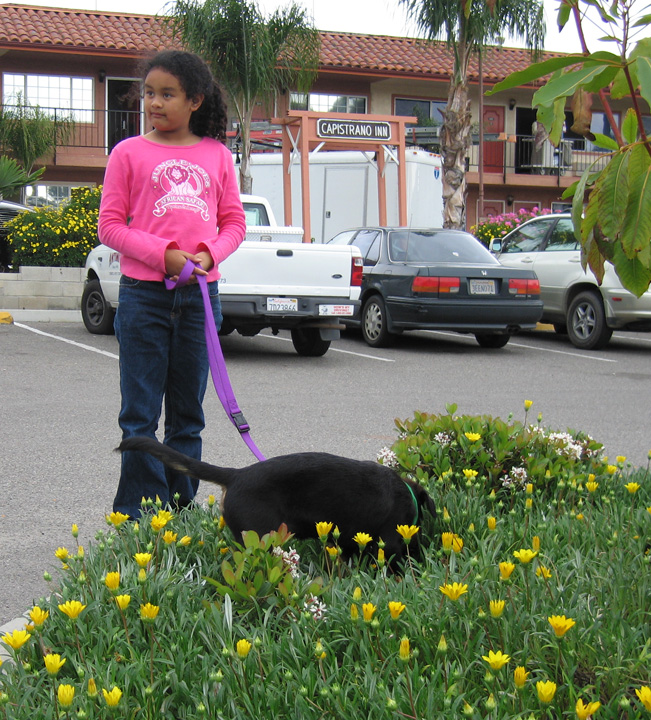 Kreiger loves flowers!