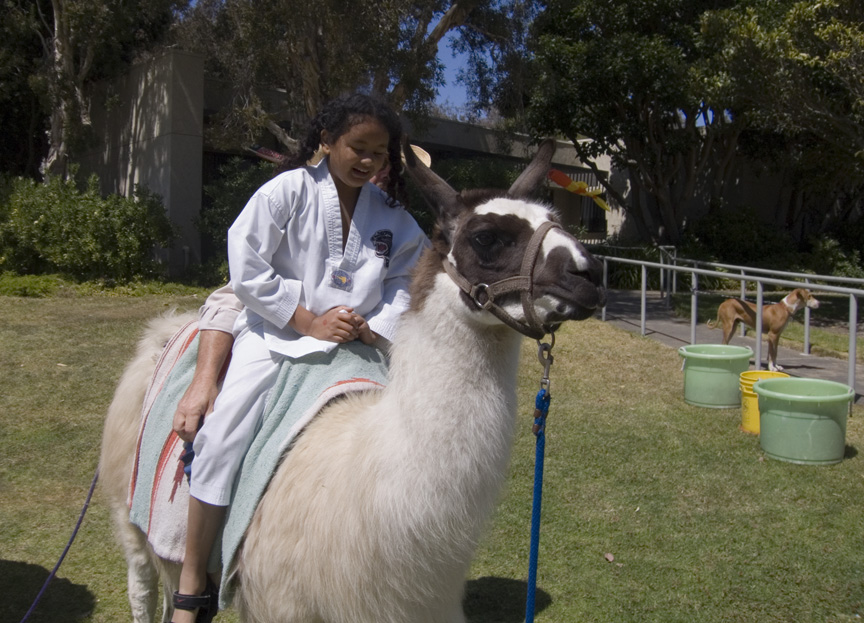 Mari goes for a llama ride!