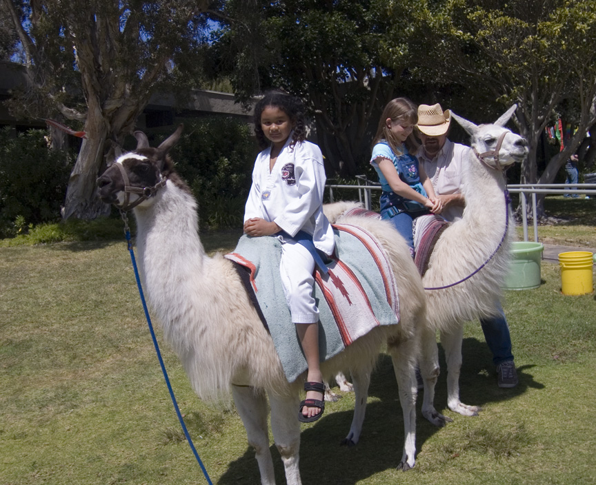 Mari goes for a llama ride!