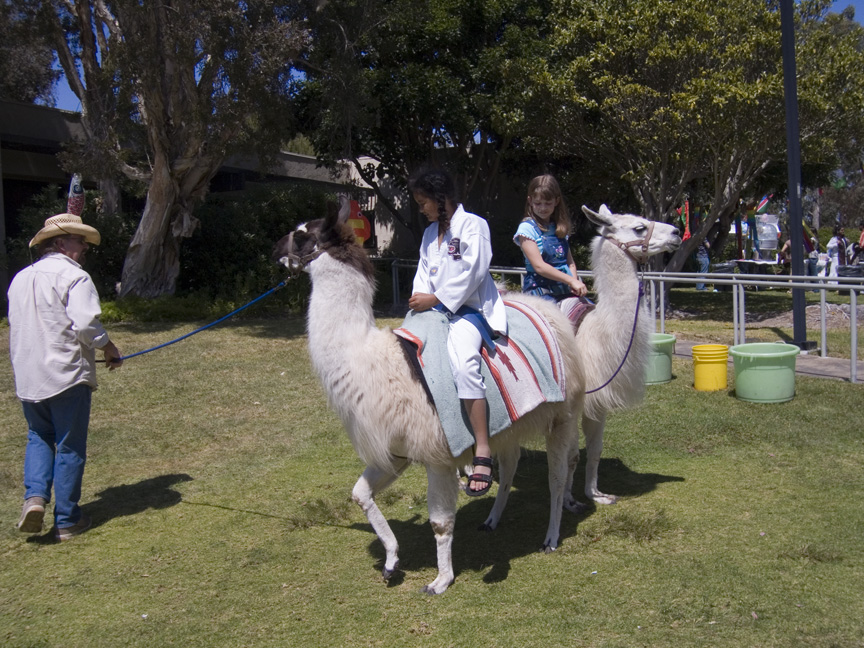 Mari goes for a llama ride!