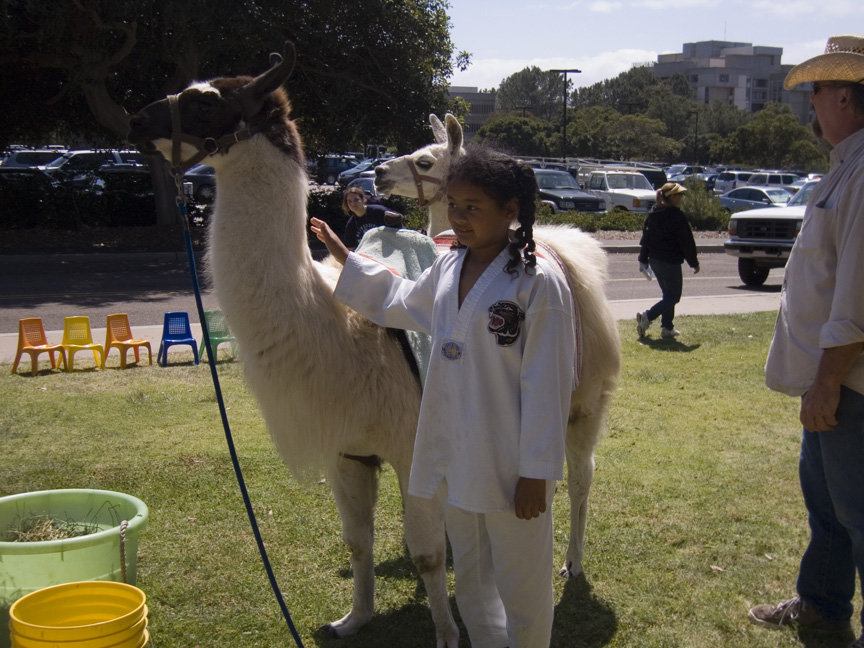 llama are nice and furry!