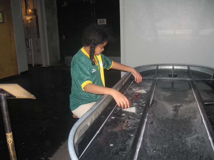 Mari explores the Exploratorium!