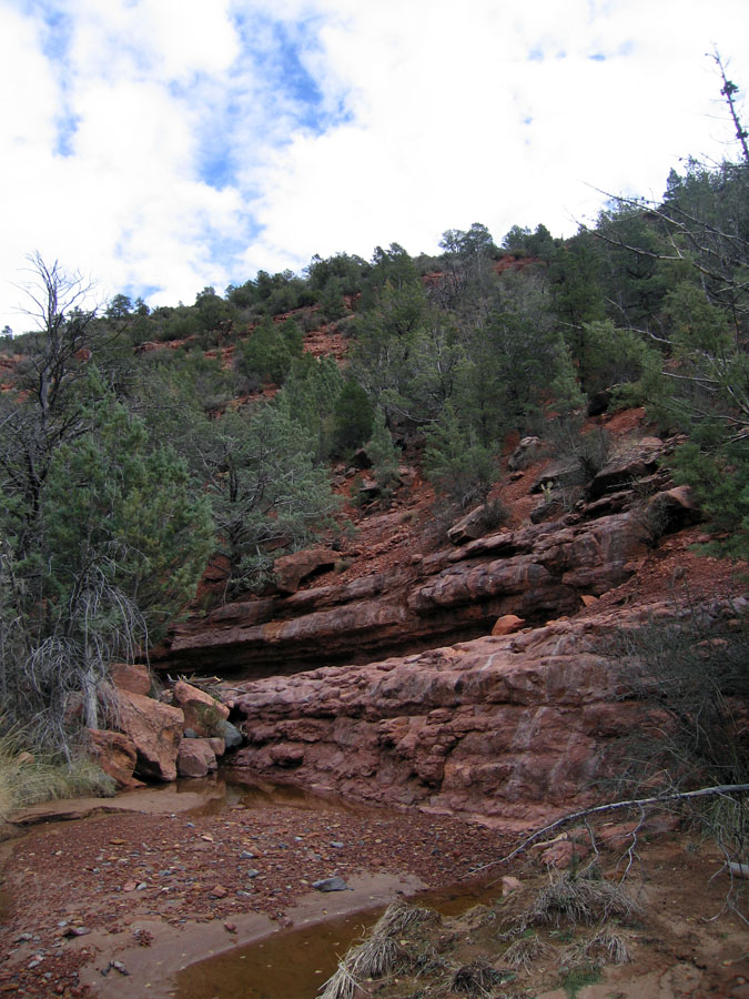 12_20_07arizona_20
