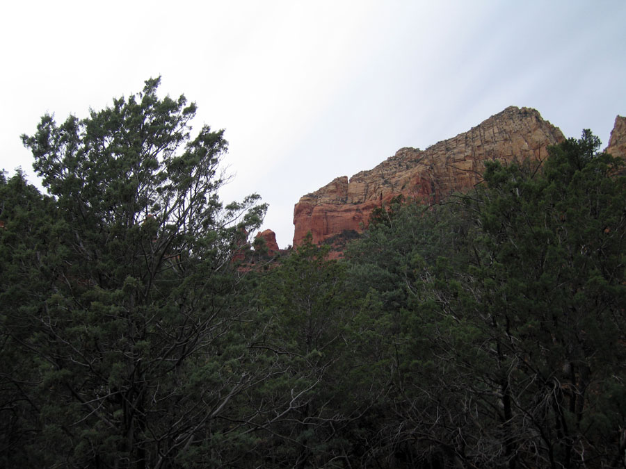 12_20_07arizona_29