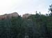 12_20_07arizona_30
