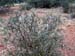 12_20_07arizona_31