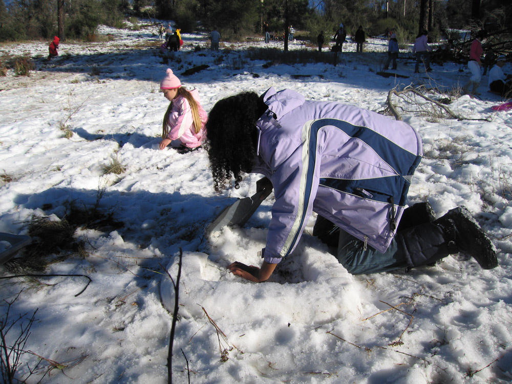 snow_36