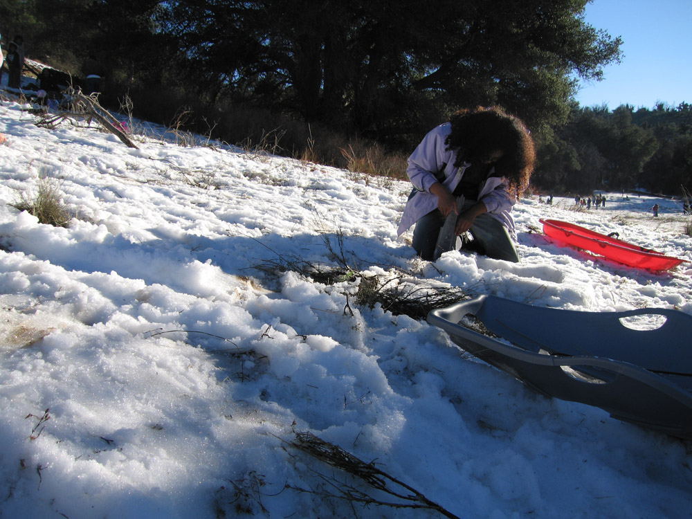snow_38