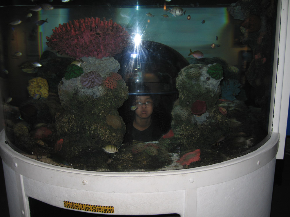 sea_31