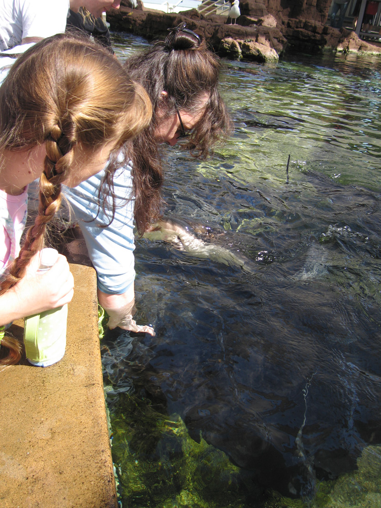 seaworld_06