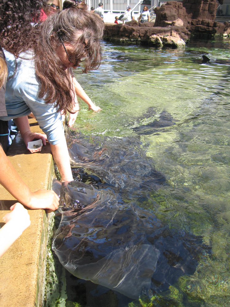 seaworld_08