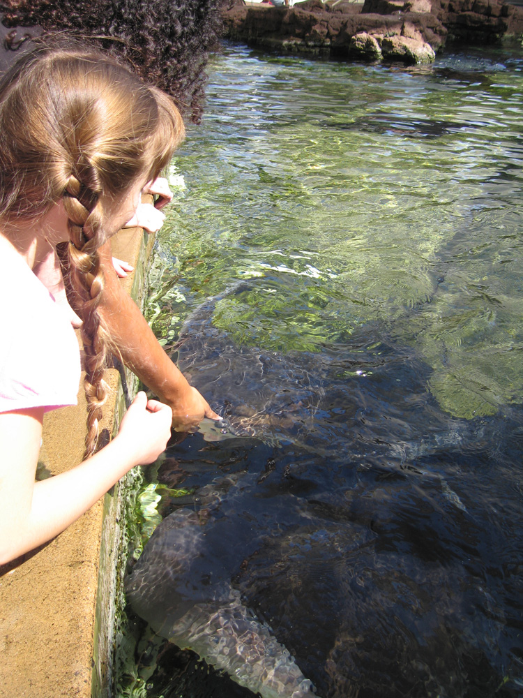 seaworld_09