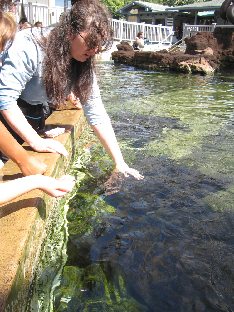 seaworld_14