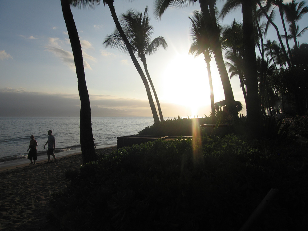 luau_99_15