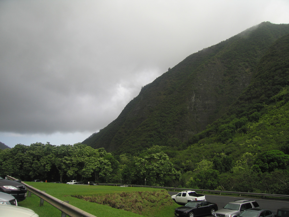 luau_06