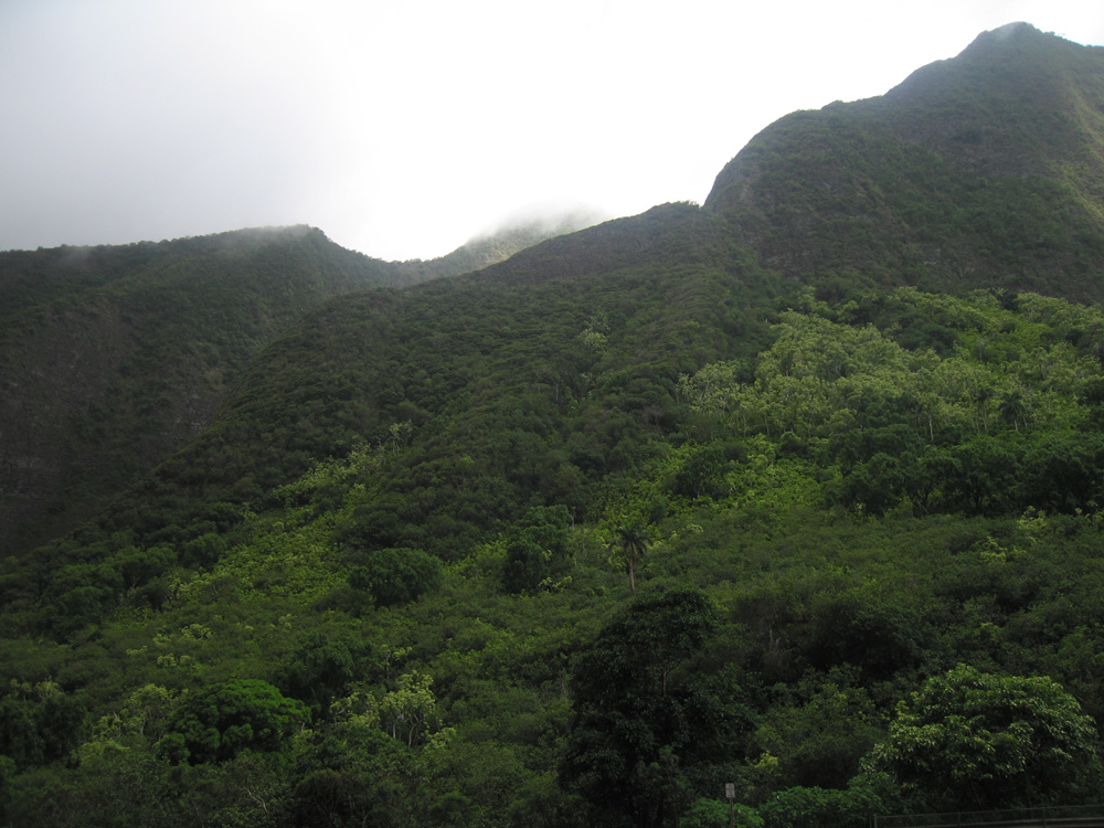 luau_07