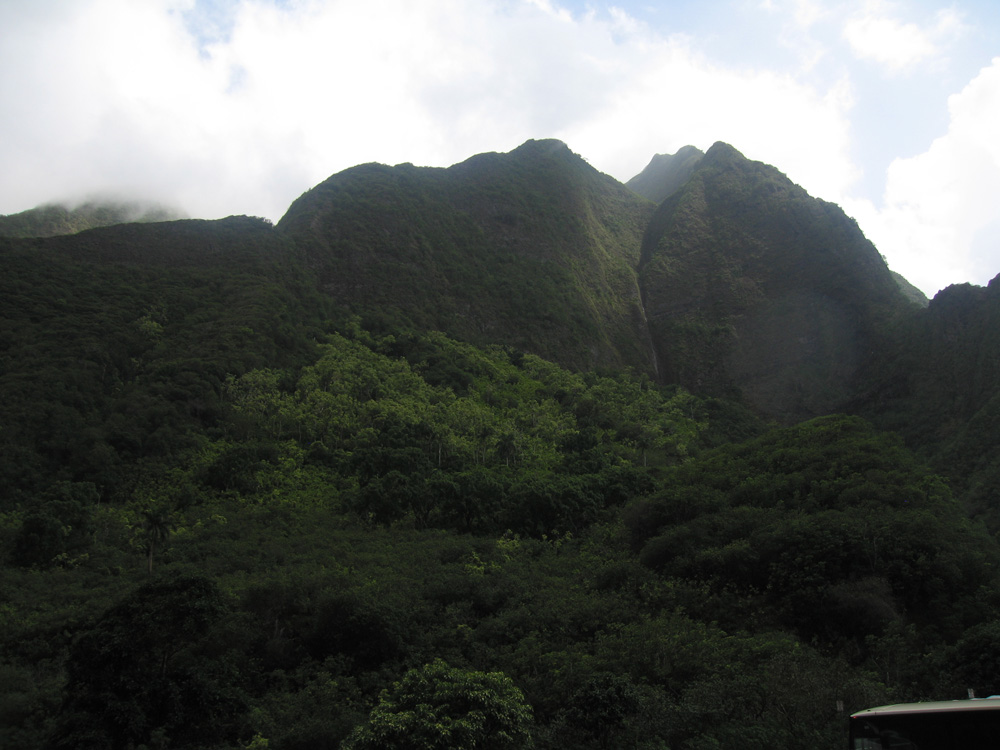 luau_08