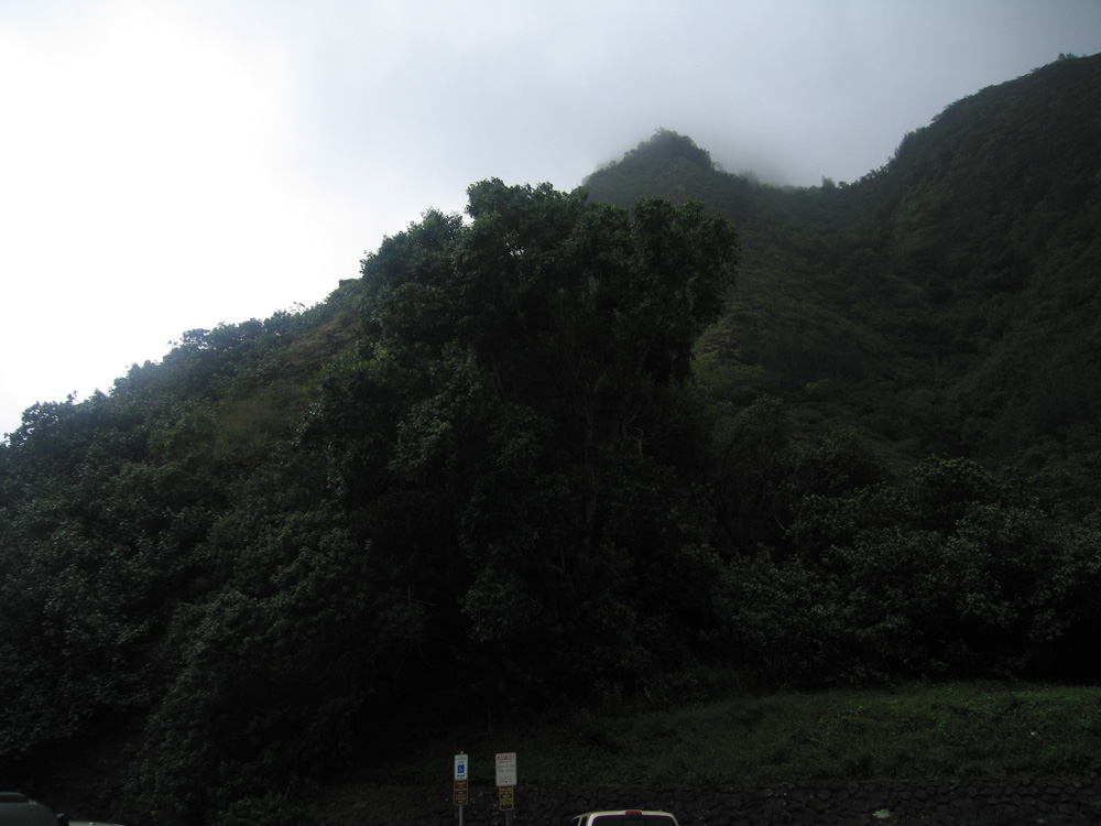 luau_11