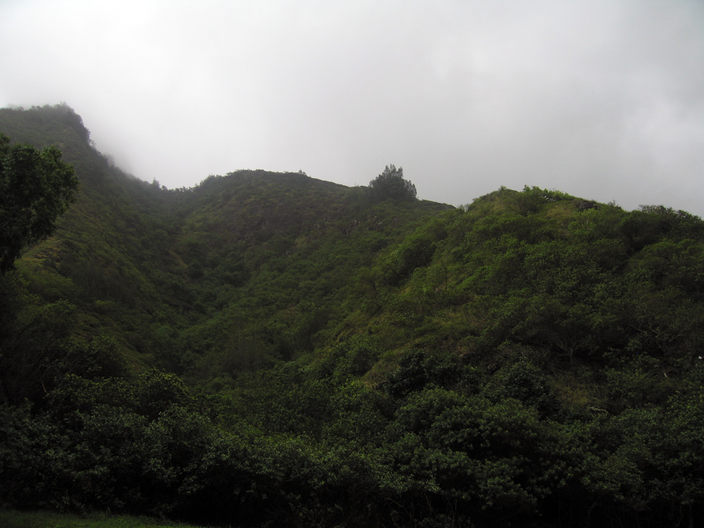 luau_12