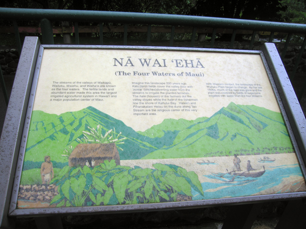 luau_16