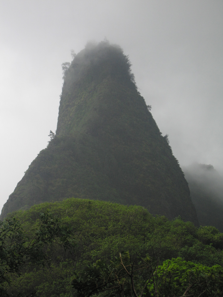 luau_27