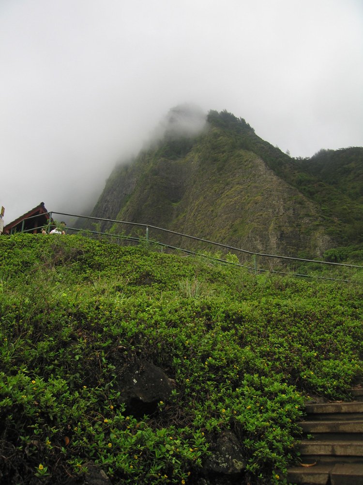 luau_30