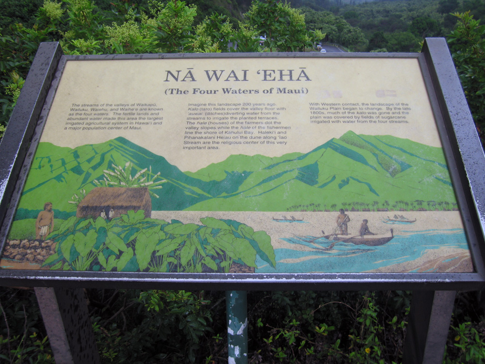 luau_32