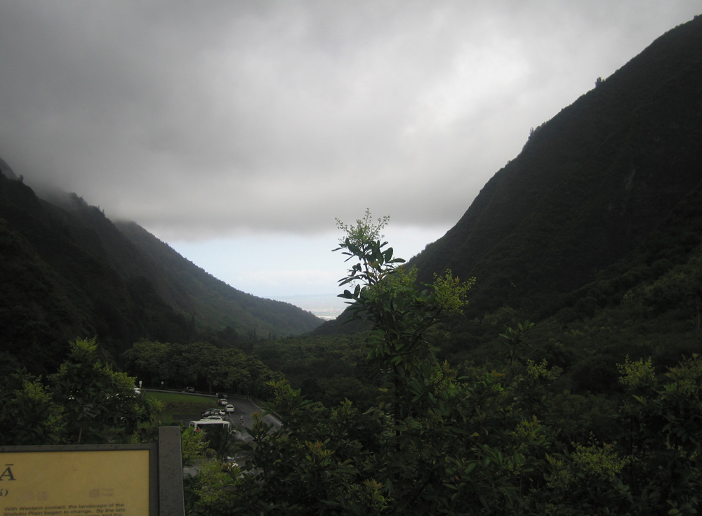 luau_35