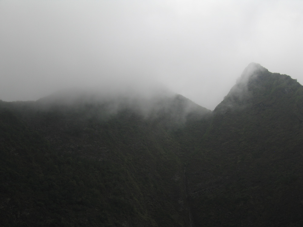 luau_40