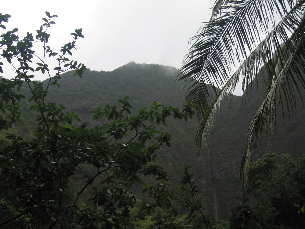 luau_56
