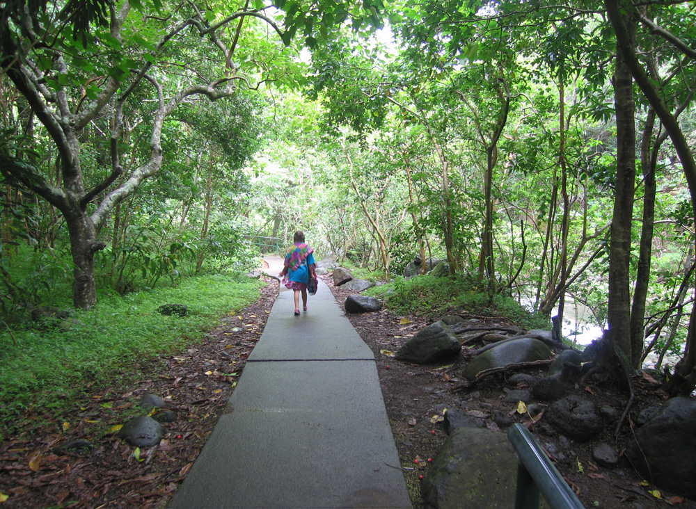 luau_58