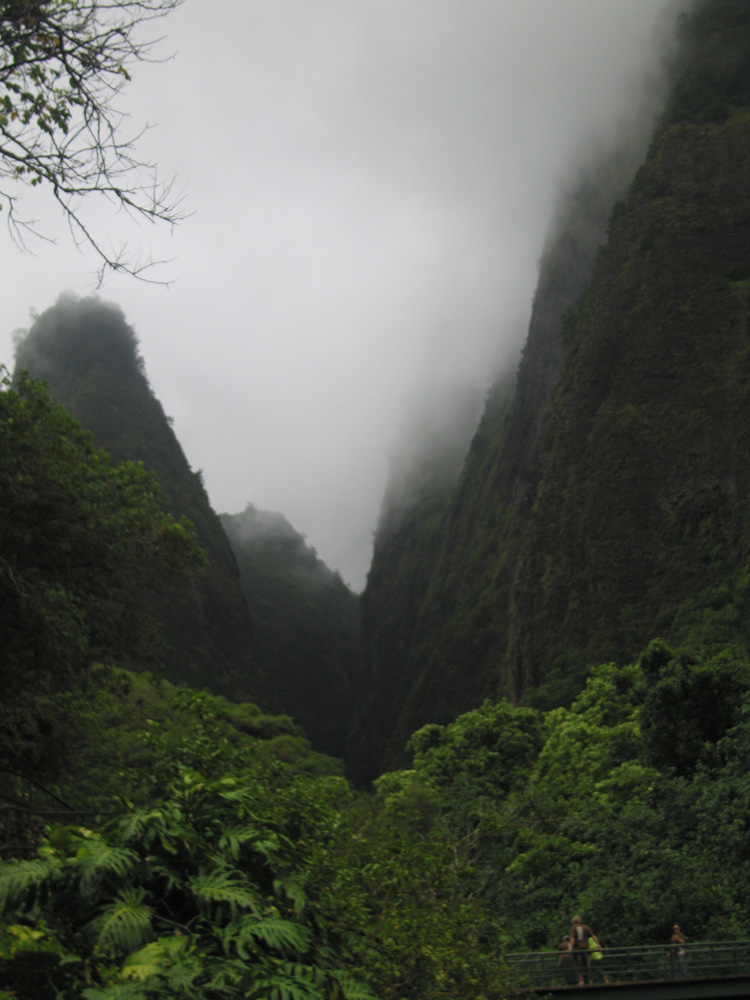 luau_65