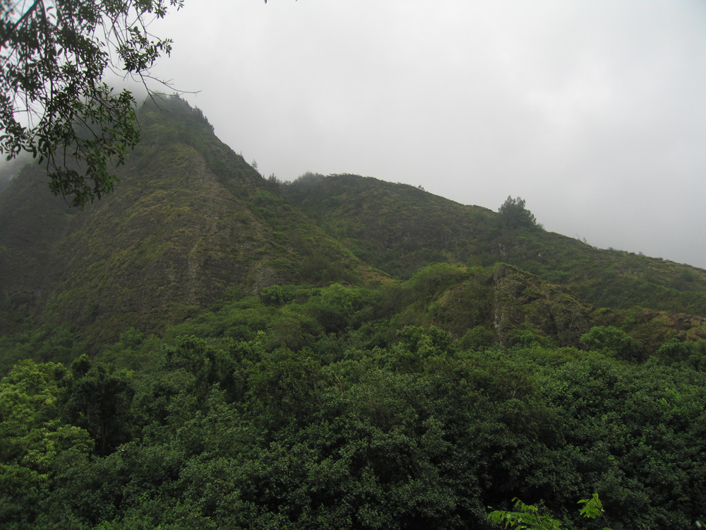 luau_67