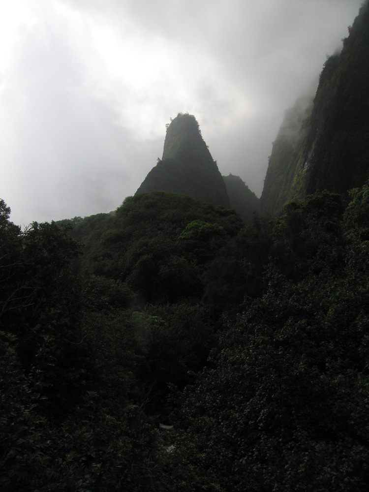 luau_71